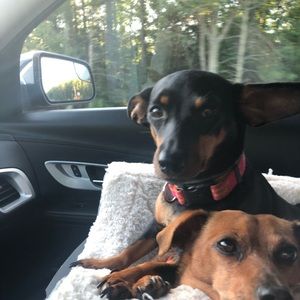 Meet your Posher, Judy